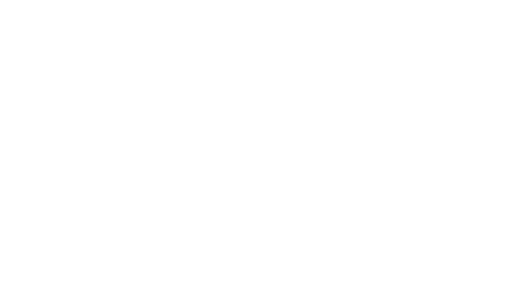 Paventia Partners